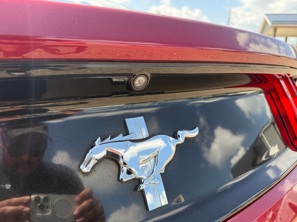 Photo 33 of this FORD MUSTANG
