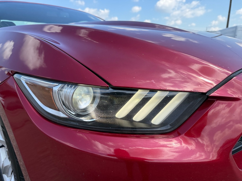 Photo 24 of this FORD MUSTANG