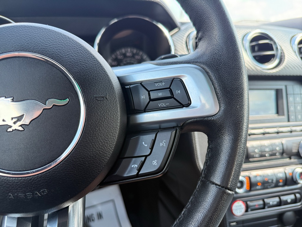 Photo 32 of this FORD MUSTANG