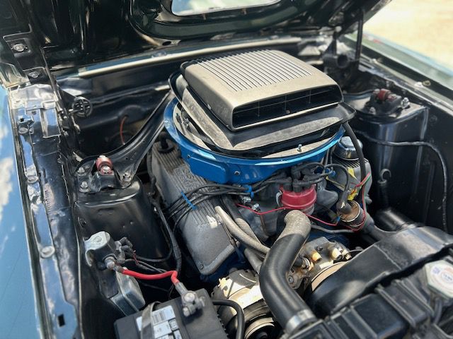 Photo 8 of this FORD MUSTANG