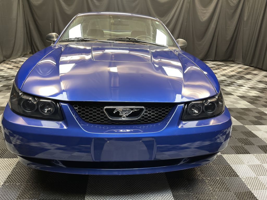 2003 FORD MUSTANG  for sale at Solid Rock Auto Group