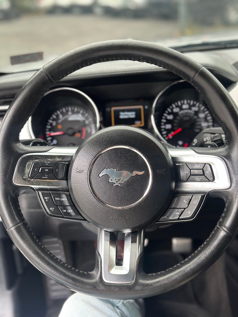 Photo 12 of this FORD MUSTANG