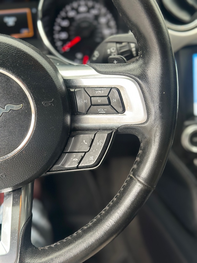 Photo 13 of this FORD MUSTANG