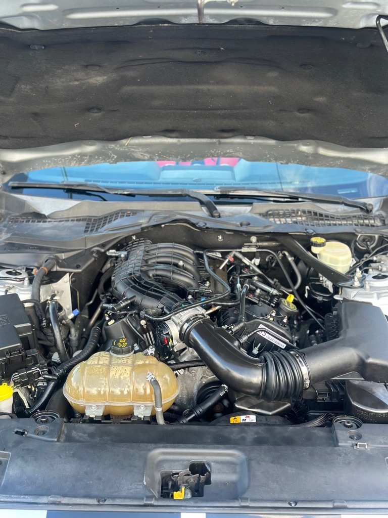 Photo 19 of this FORD MUSTANG