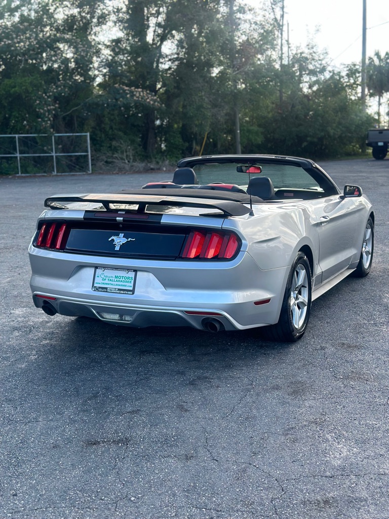 Photo 4 of this FORD MUSTANG