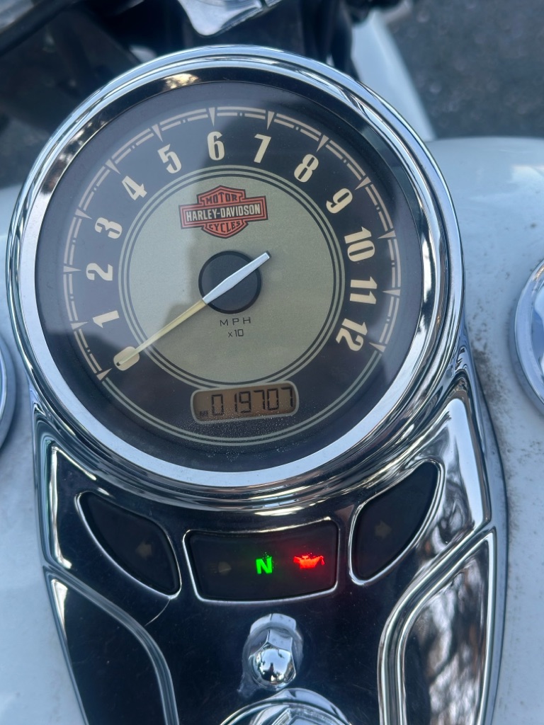 Photo 3 of this HARLEY-DAVIDSON SOFTAIL