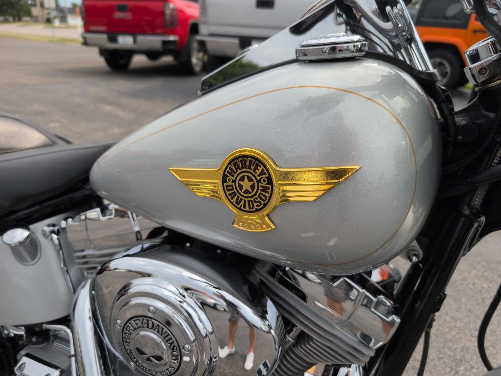 Photo 28 of this HARLEY-DAVIDSON FATBOY