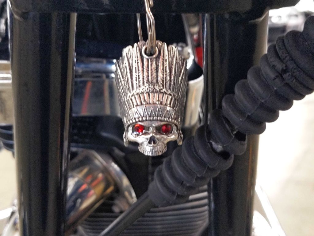 Photo 26 of this INDIAN CHIEF