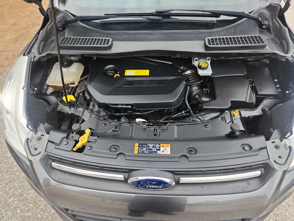 Photo 8 of this FORD ESCAPE