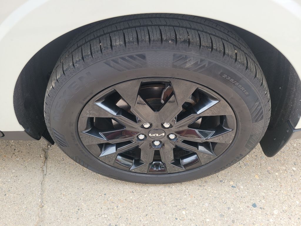 Photo 11 of this KIA CARNIVAL