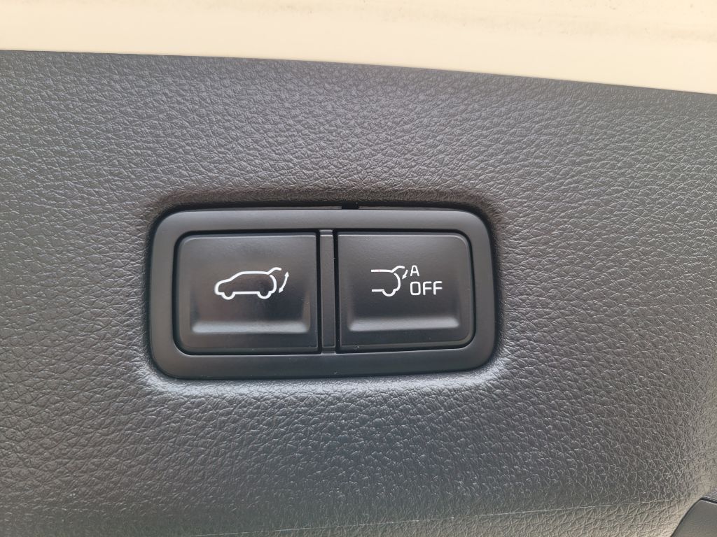 Photo 63 of this KIA CARNIVAL