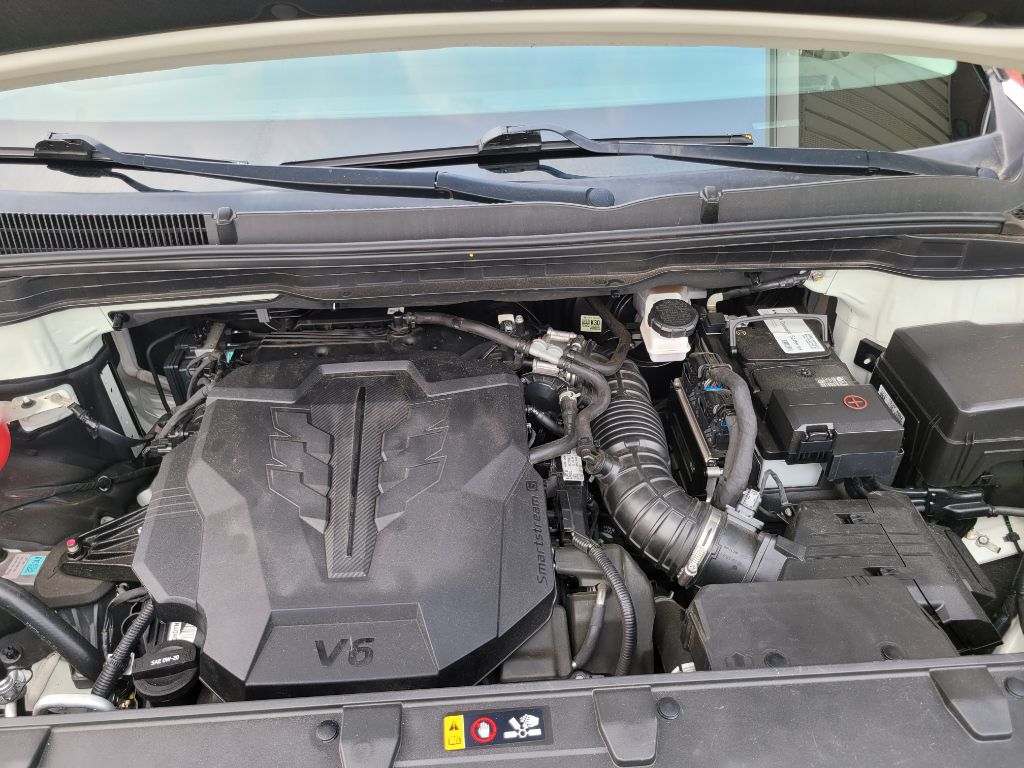 Photo 64 of this KIA CARNIVAL