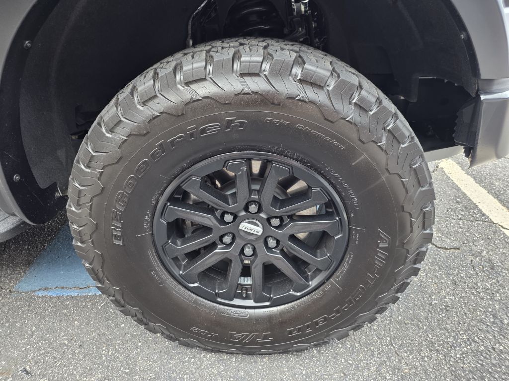 Photo 33 of this FORD F-150 RAPTOR