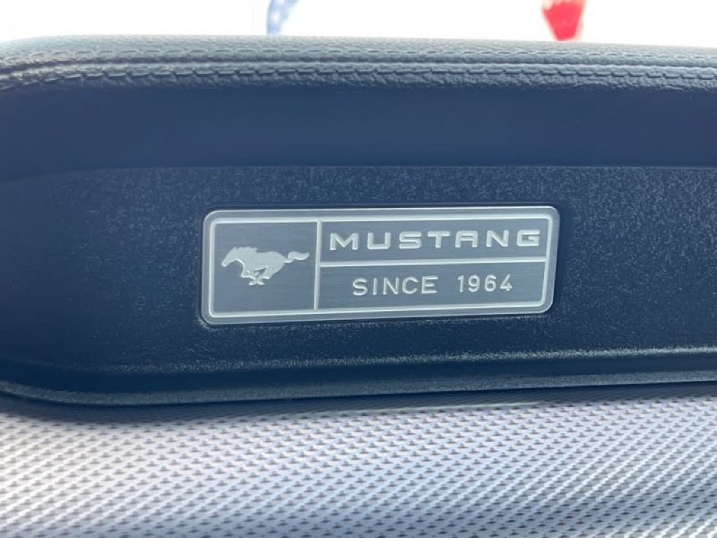 Photo 32 of this FORD MUSTANG