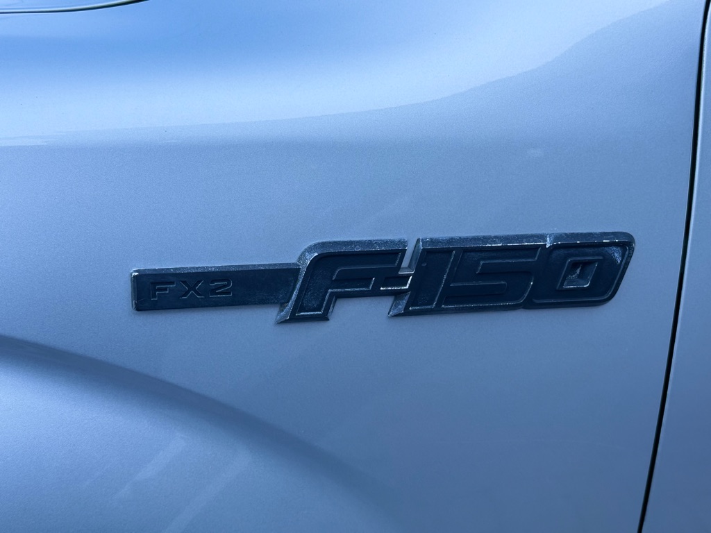Photo 10 of this FORD F150 FX-2