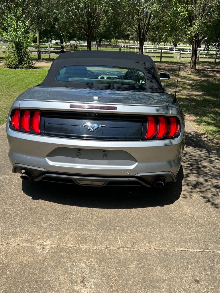 Photo 4 of this FORD MUSTANG