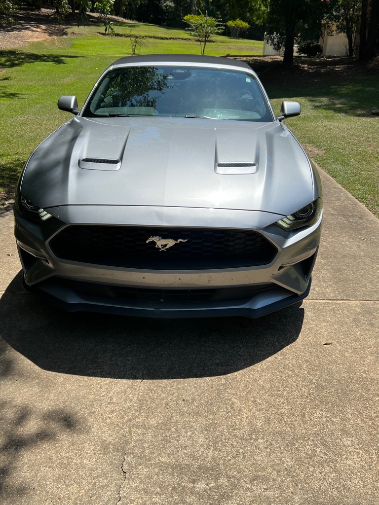 2022 FORD MUSTANG