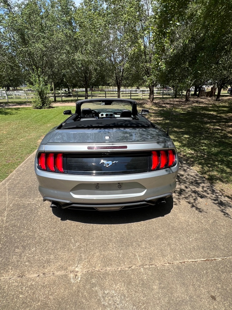 Photo 7 of this FORD MUSTANG