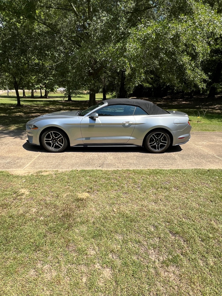 Photo 2 of this FORD MUSTANG
