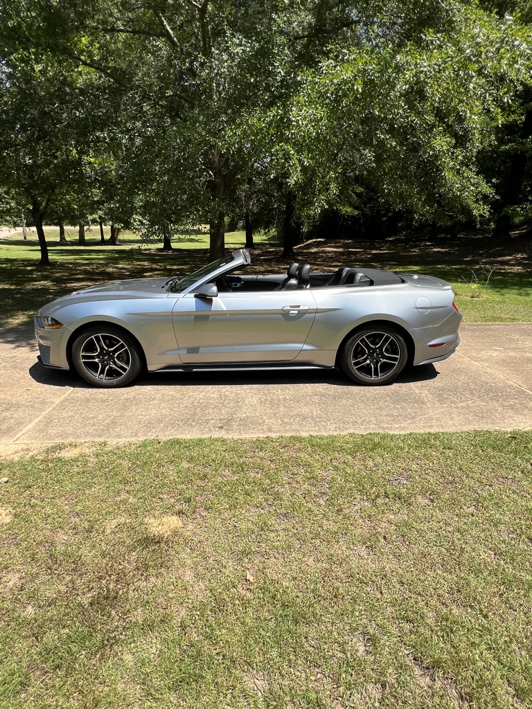 Photo 6 of this FORD MUSTANG