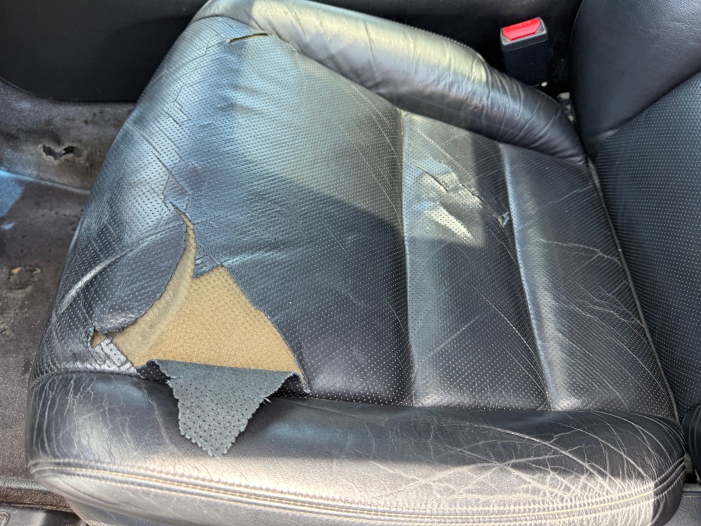 Photo 35 of this ACURA TL