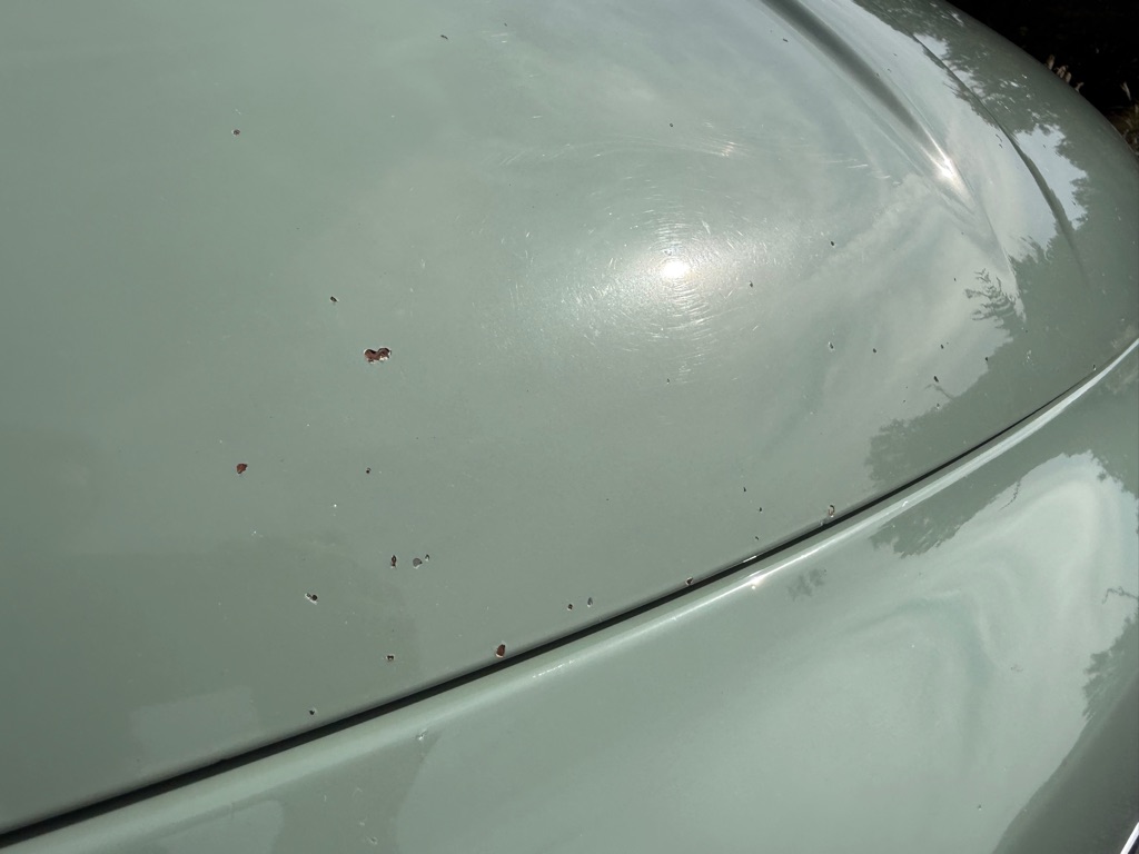 Photo 35 of this FIAT 500