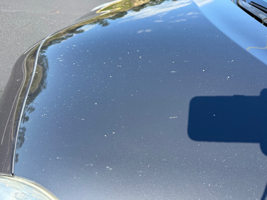 Photo 38 of this TOYOTA PRIUS