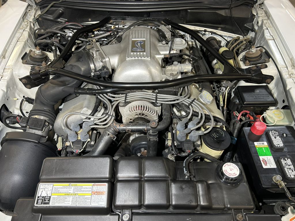 Photo 81 of this FORD MUSTANG
