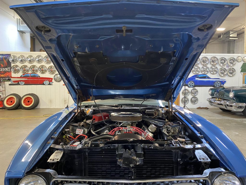 Photo 67 of this FORD MUSTANG