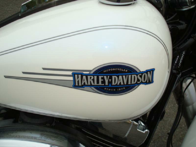 Photo 10 of this HARLEY SOFTTAIL