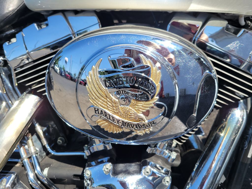 Photo 26 of this HARLEY SOFTTAIL