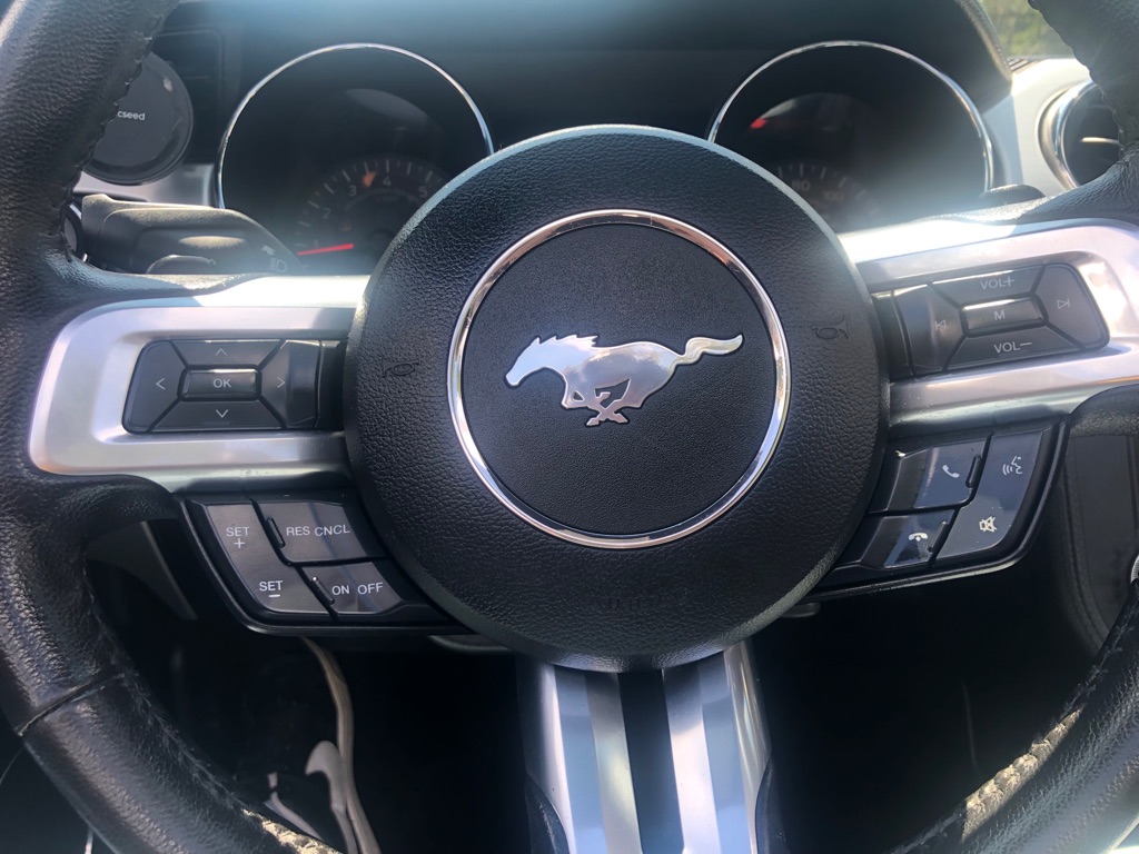 Photo 24 of this FORD MUSTANG