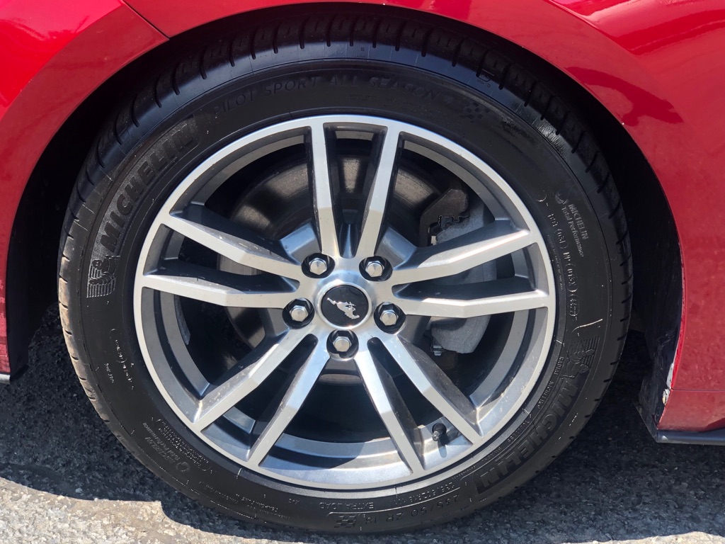 Photo 11 of this FORD MUSTANG