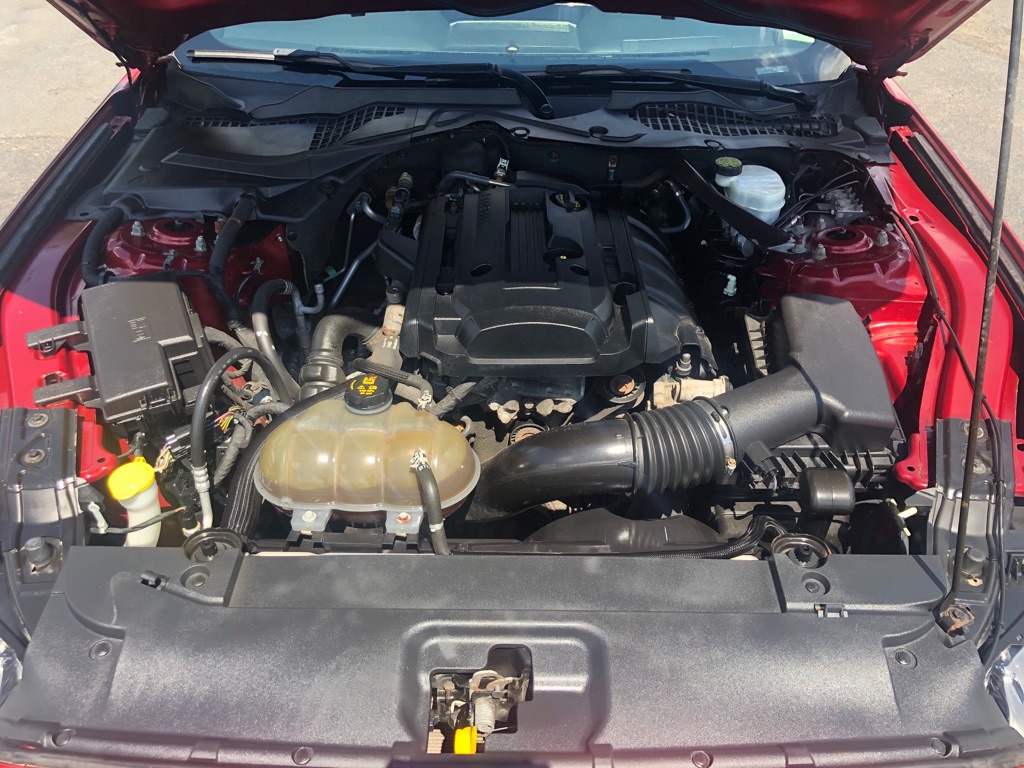 Photo 31 of this FORD MUSTANG