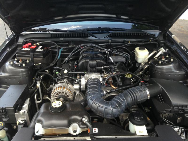 FORD MUSTANG 2008 FORD MUSTANG 1ZVHT80N885206960