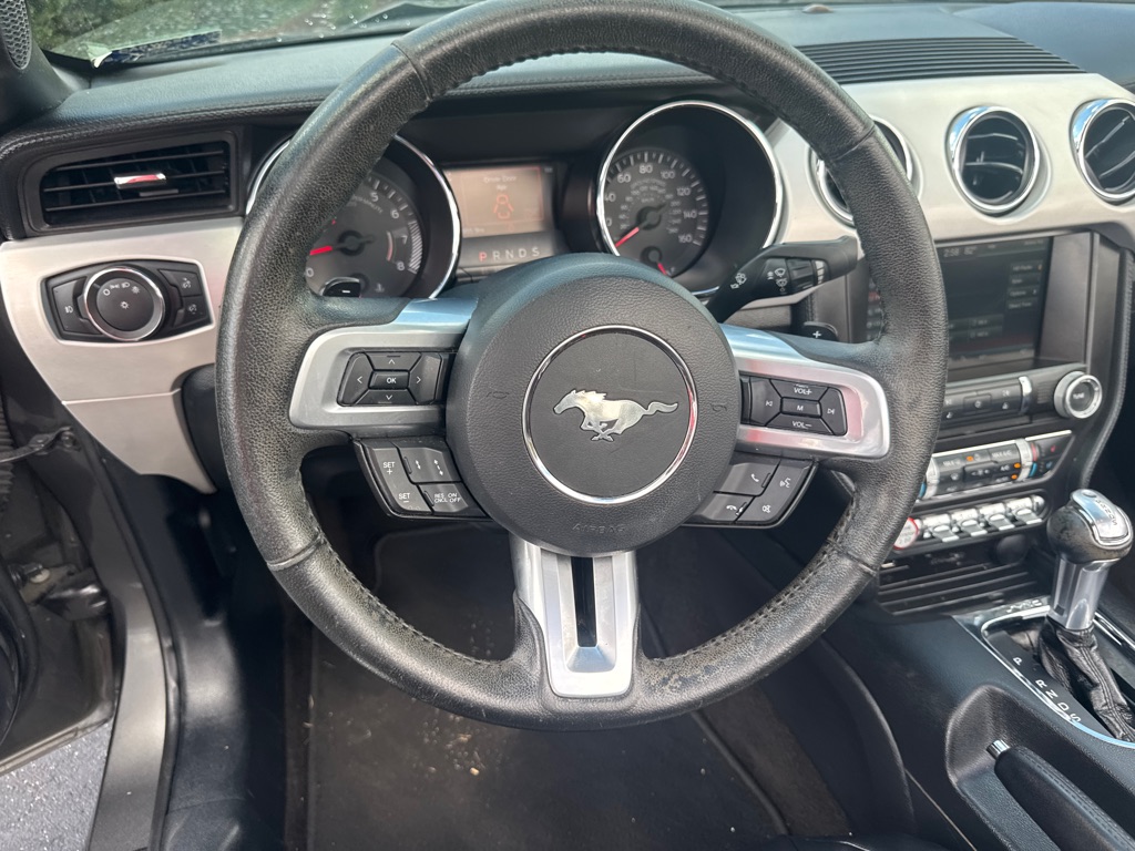 Photo 42 of this FORD MUSTANG