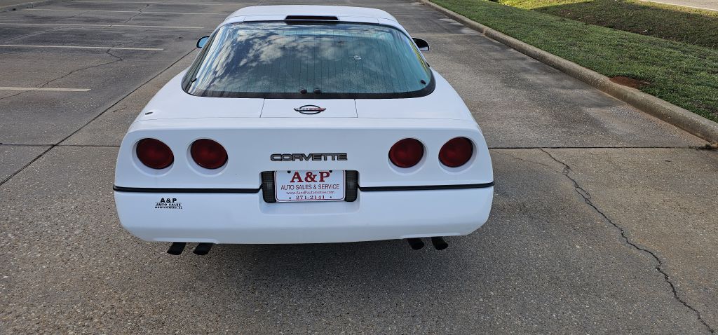CHEVROLET CORVETTE 1989 CHEVROLET CORVETTE 1G1YY2183K5106694