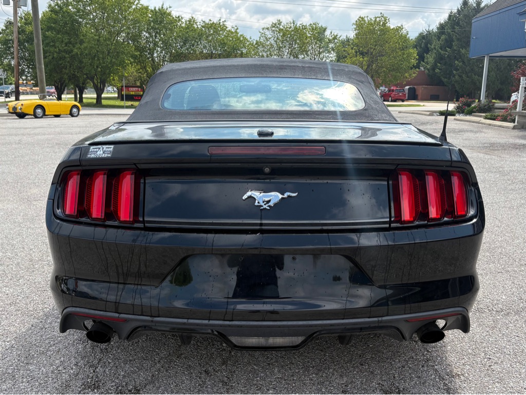 Photo 6 of this FORD MUSTANG