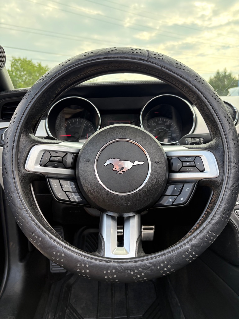 Photo 16 of this FORD MUSTANG
