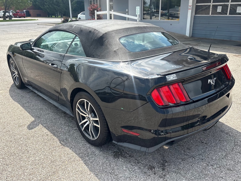 Photo 7 of this FORD MUSTANG