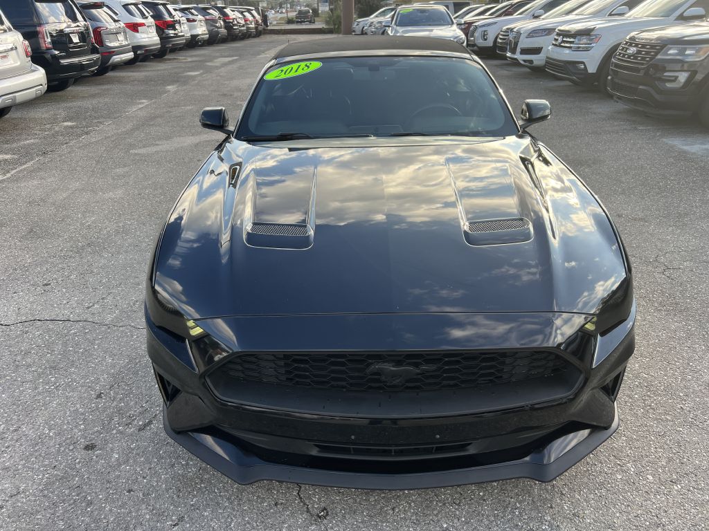 Photo 2 of this FORD MUSTANG