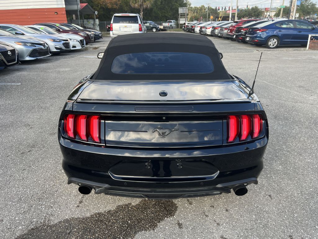 Photo 6 of this FORD MUSTANG