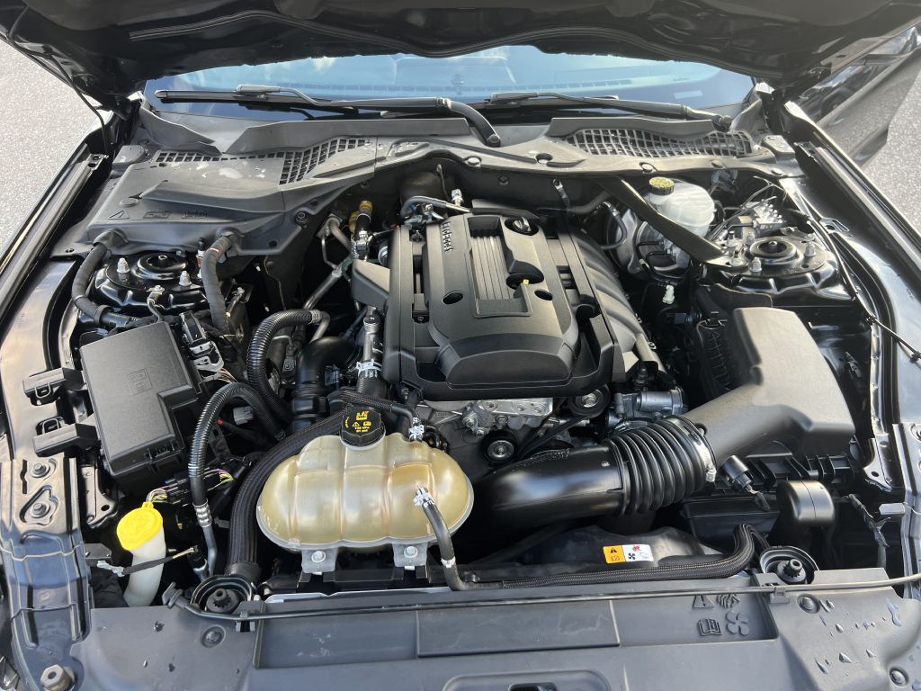 Photo 16 of this FORD MUSTANG