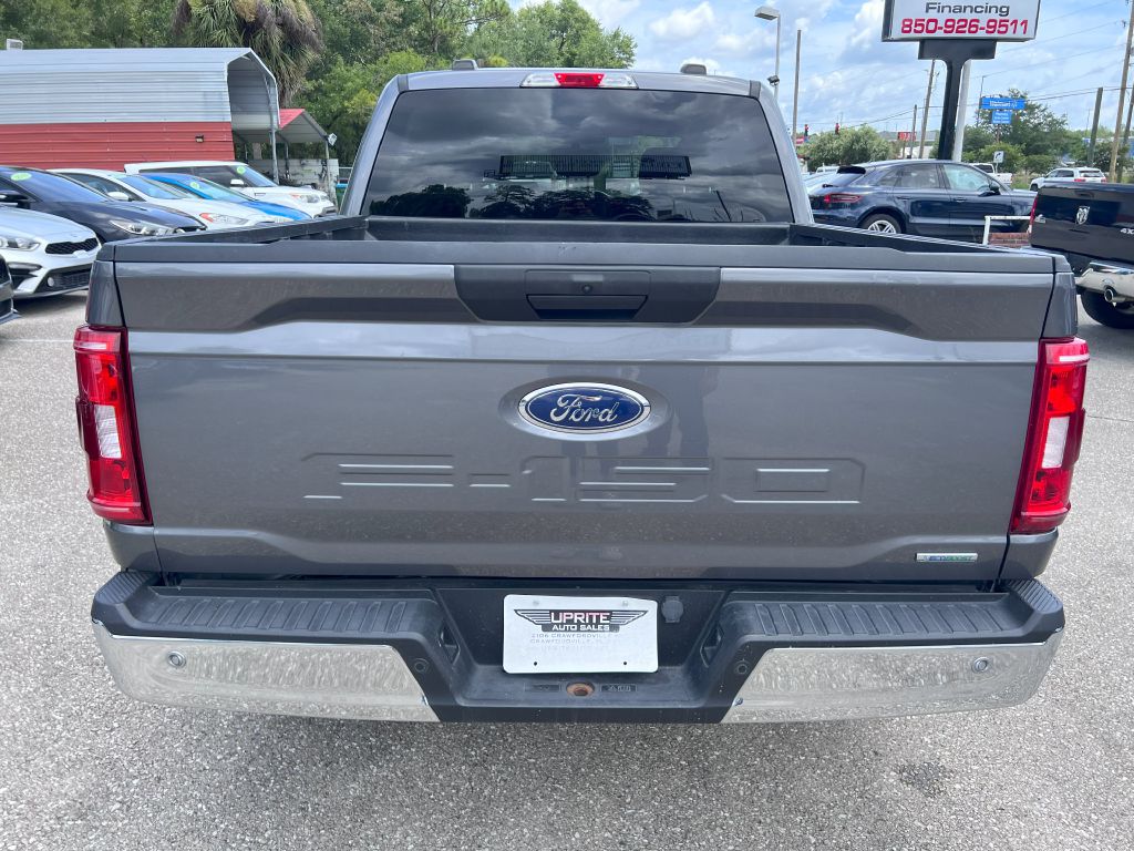 Photo 6 of this FORD F150