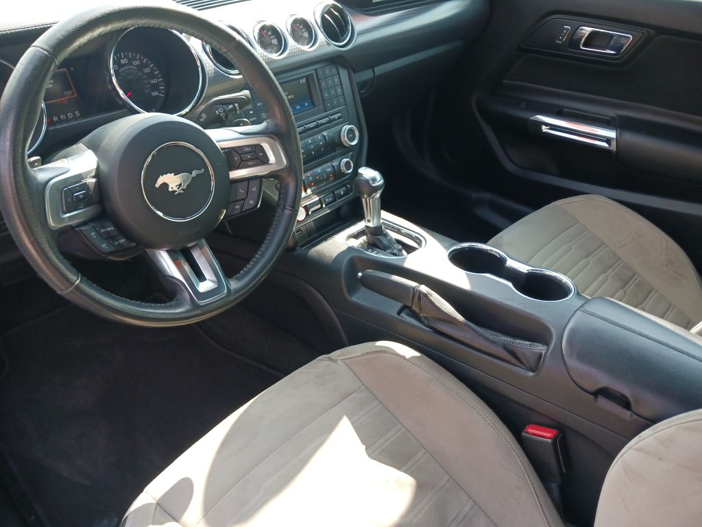 Photo 9 of this FORD MUSTANG