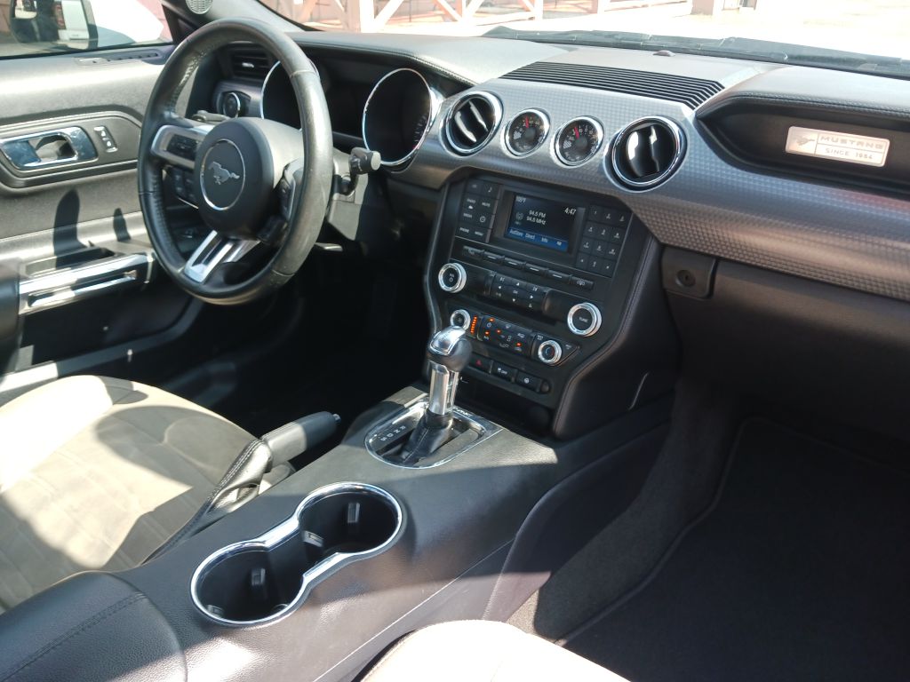 Photo 11 of this FORD MUSTANG