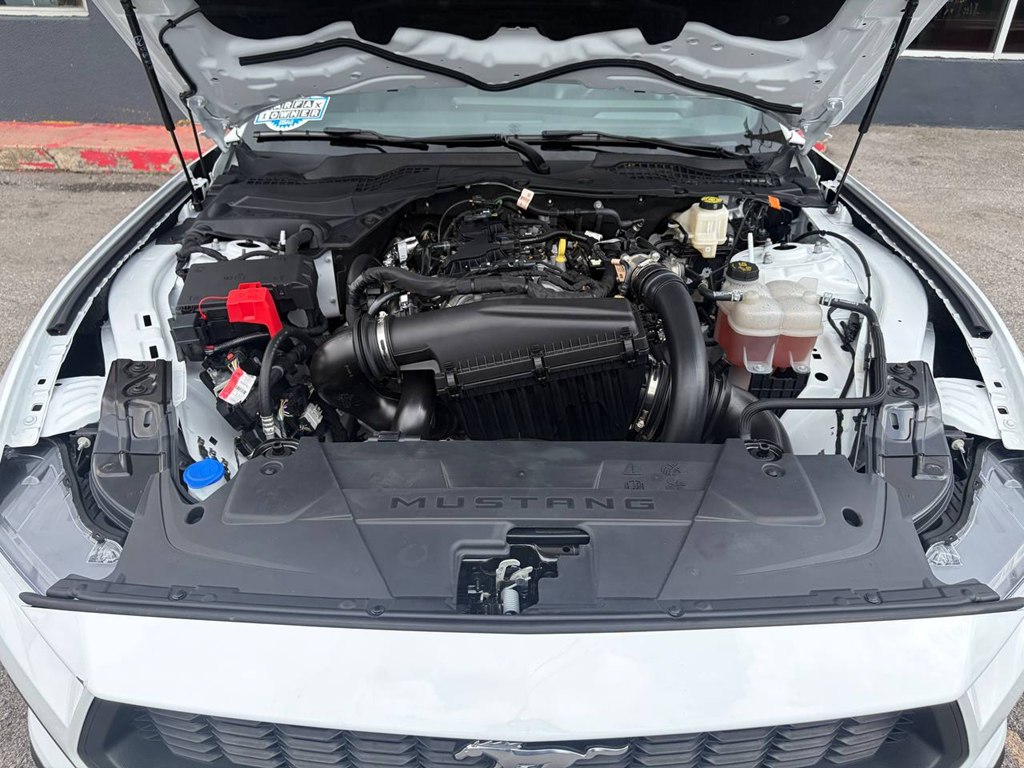 Photo 37 of this FORD MUSTANG
