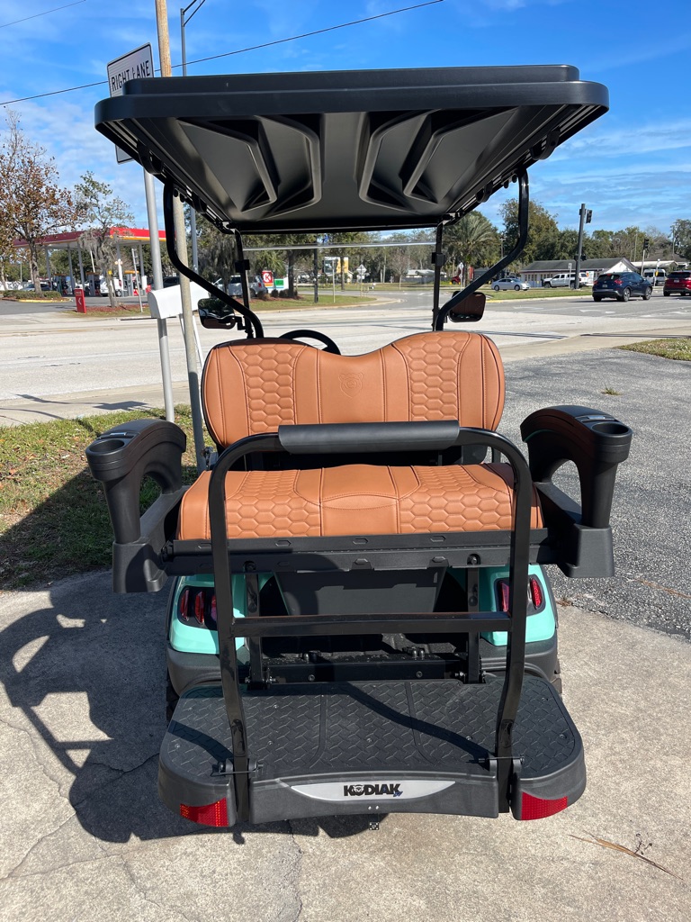 Photo 5 of this KODIAK EV APEX 4P