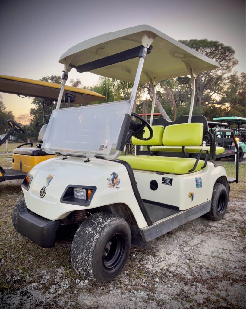 2013 YAMAHA 4 PASSENGER