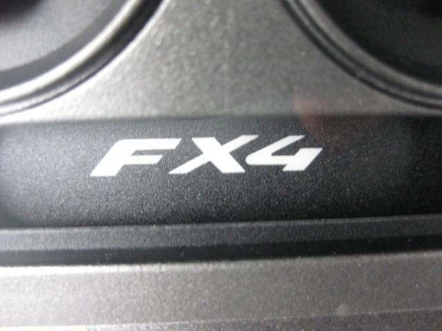 Photo 29 of this FORD F-150